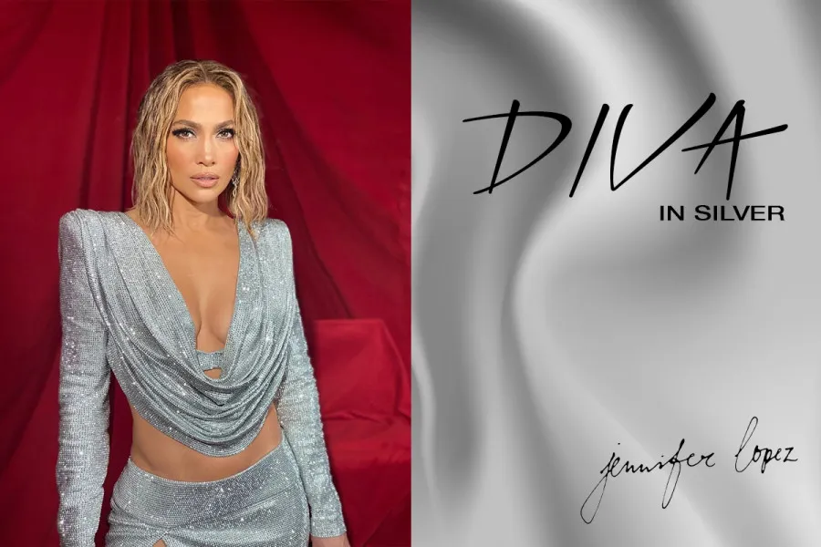 Модата на АМА: Дамите одбраа сребрено за спектакуларен изглед!