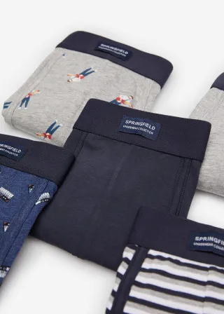 ДОЛНА ОБЛЕКА 