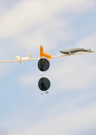 ОЧИЛА ЗА СОНЦЕ 