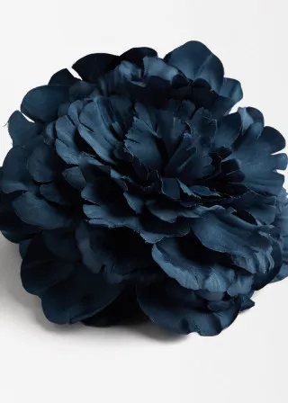 ДОДАТОК ЗА КОСА 