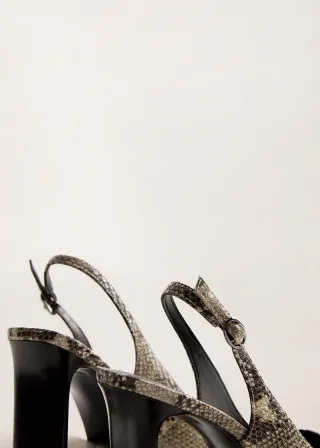 ВИСОКИ ПОТПЕТИЦИ 