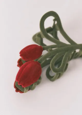 ДОДАТОК ЗА КОСА 