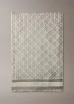 ШАЛ 