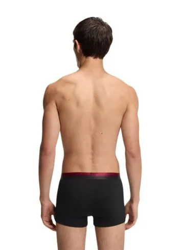 ДОЛНА ОБЛЕКА 