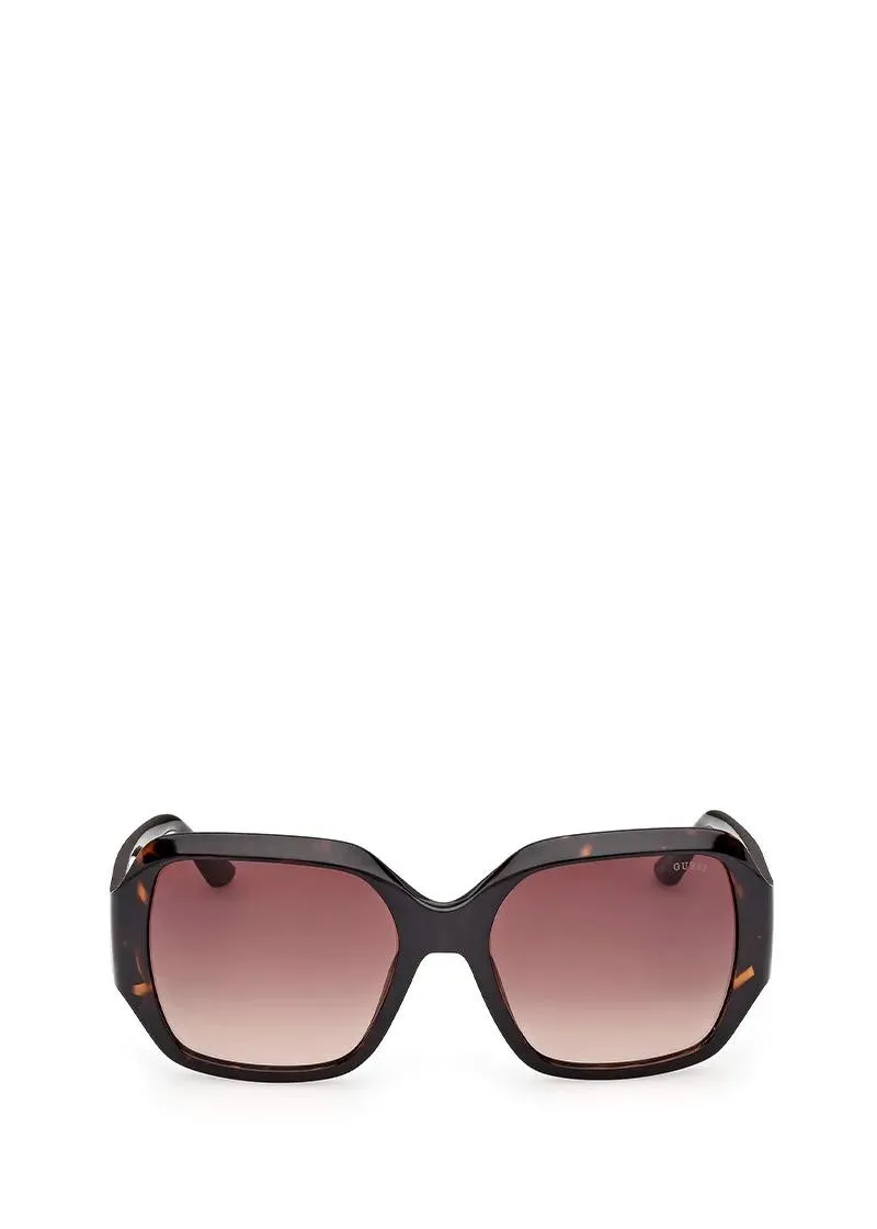 ОЧИЛА ЗА СОНЦЕ 